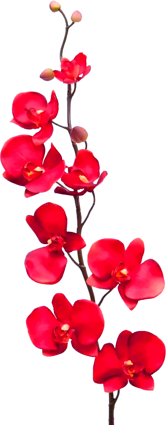 Flores decorativas